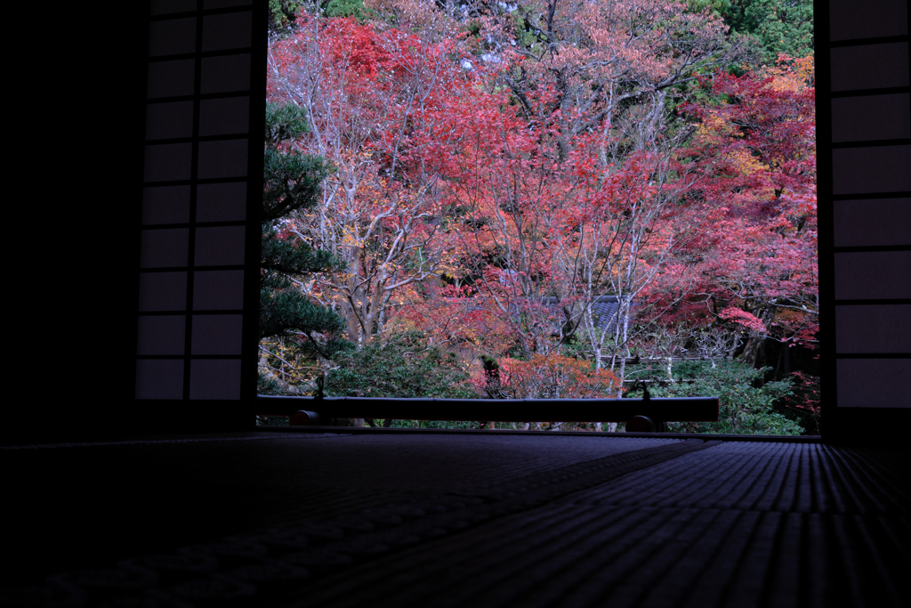 金剛輪寺の紅葉＃３