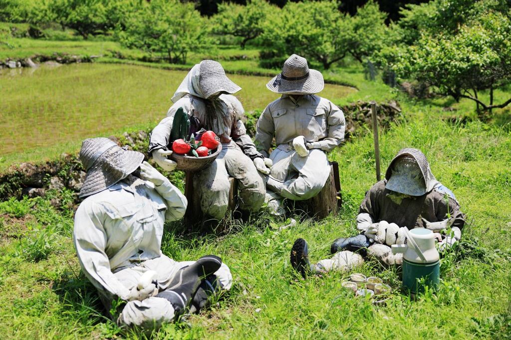 田植えを終えた新城市の千枚田棚田＃２