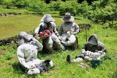 田植えを終えた新城市の千枚田棚田#2