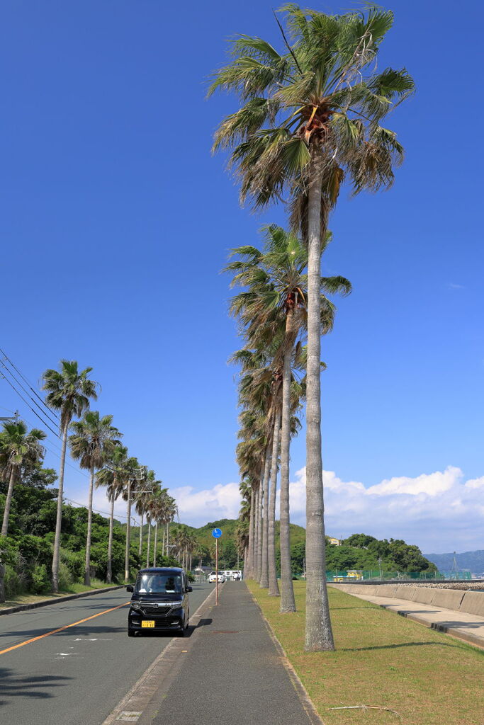 蒲郡・西浦半島の魅力＃４