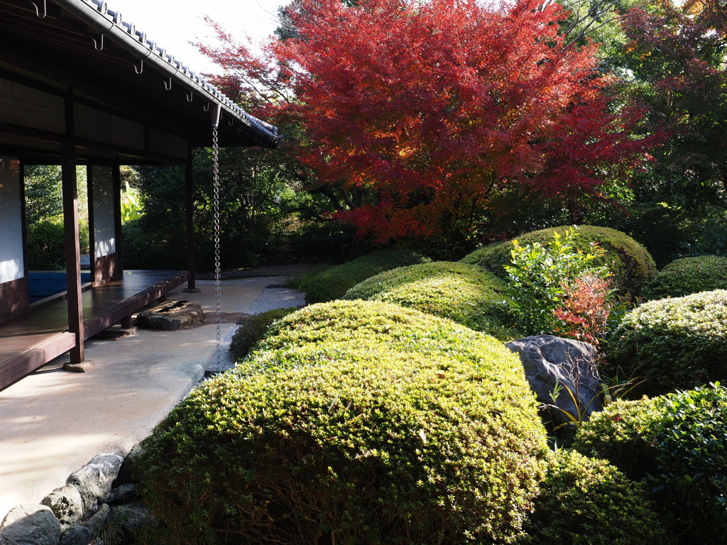 京都風情タップリ丈山苑＃５