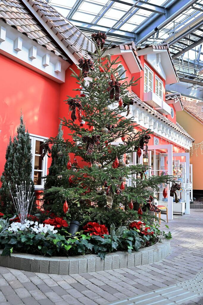 クリスマスムード満点のデンパーク＃５