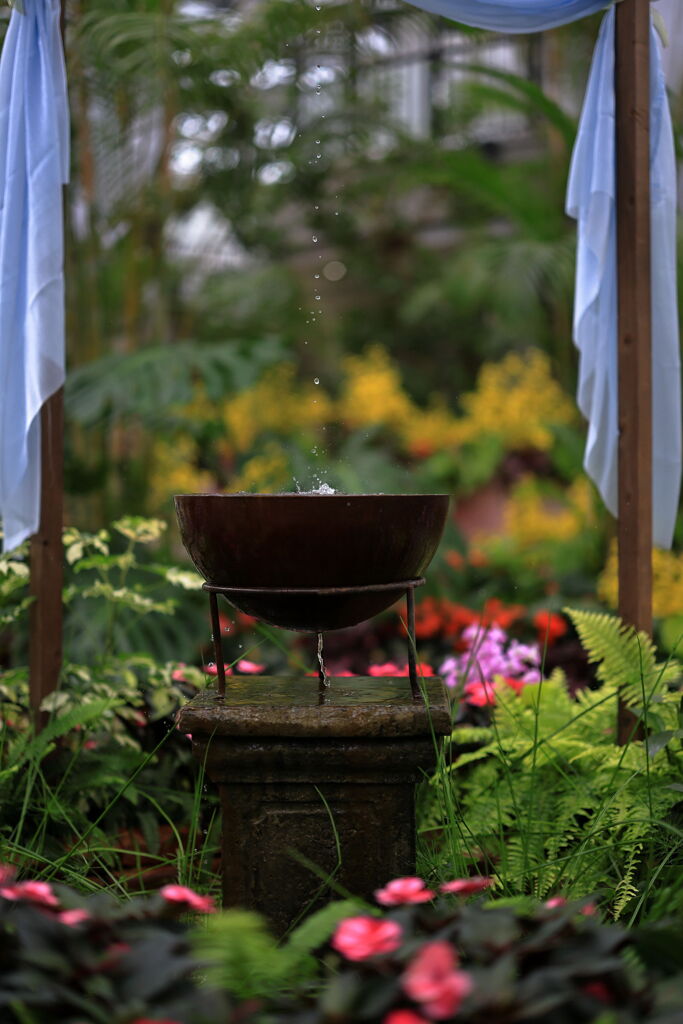 夏至の暑さに負けず・・・・＃６