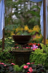 夏至の暑さに負けず・・・・＃６