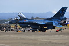 大編隊・機動飛行#3