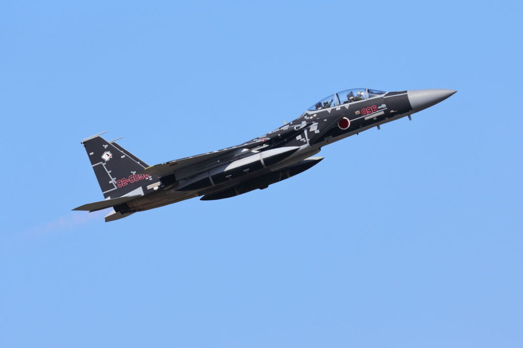 アグレッサー部隊の派手な機体＃２