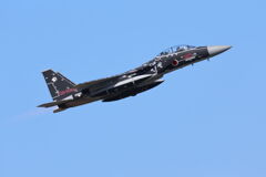 アグレッサー部隊の派手な機体＃２