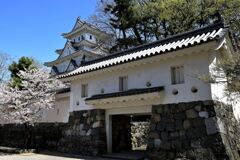 春爛漫の大垣公園と大垣城＃８