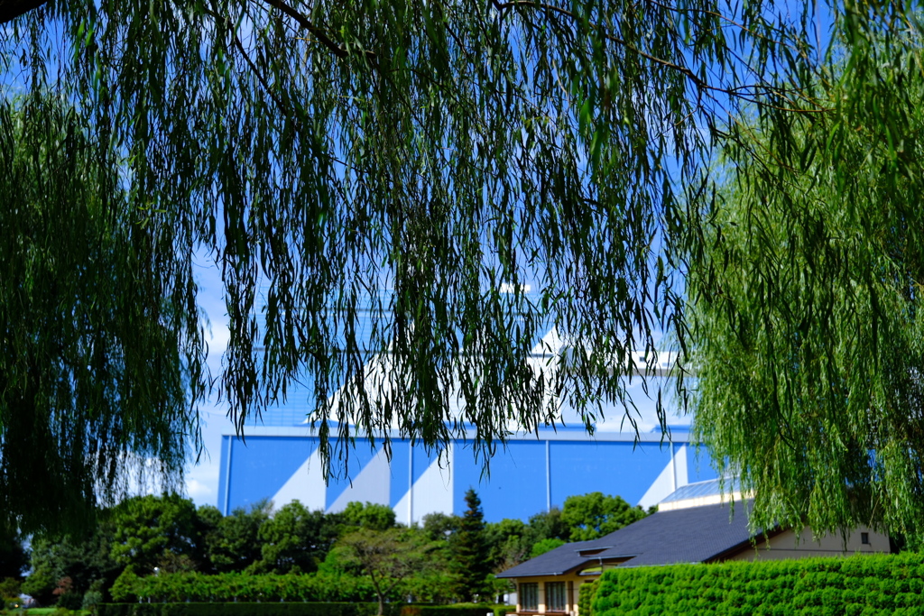 中部電力ヒーリングガーデンの秋景色＃１０