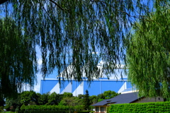 中部電力ヒーリングガーデンの秋景色＃１０