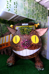 吉浜の菊まつり＃８