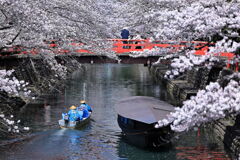 奥の細道むすびの地・大垣＃８