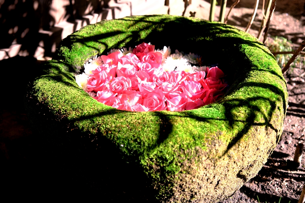 岡崎・菅生神社の花手水＃８