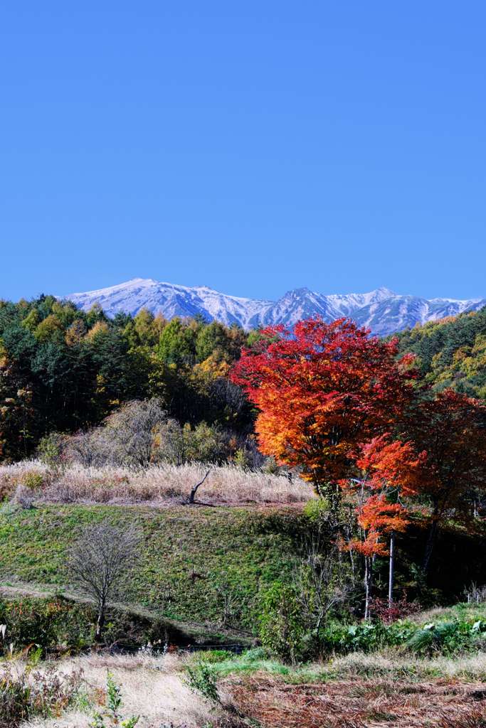 御嶽山が薄っすら雪化粧＃１０