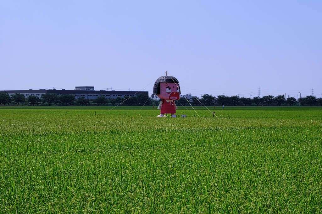 西尾の大かかし・チコちゃん＃１