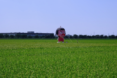 西尾の大かかし・チコちゃん#1