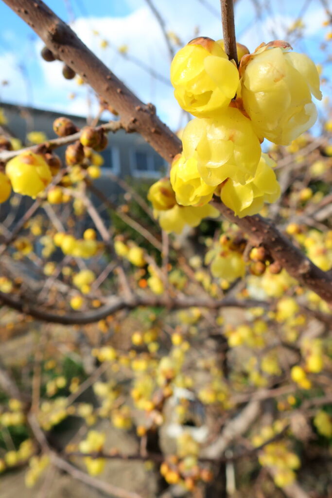 あれから１週間が過ぎ・・・・＃１