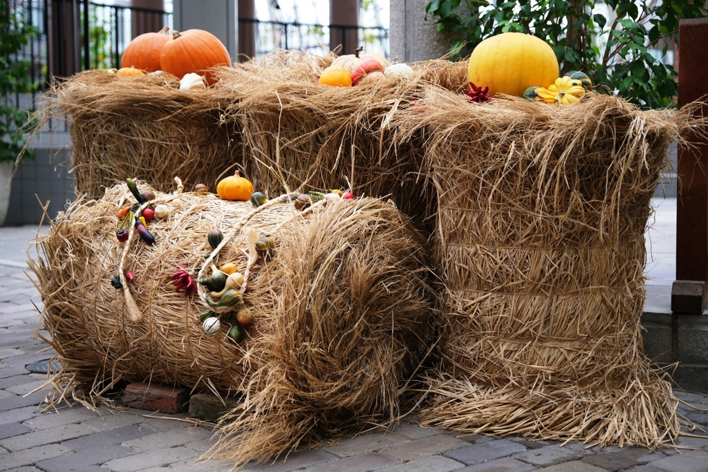 ハロウィン気分いっぱい＃２