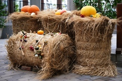 ハロウィン気分いっぱい＃２