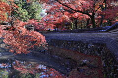 久々の永保寺・紅葉撮影＃８