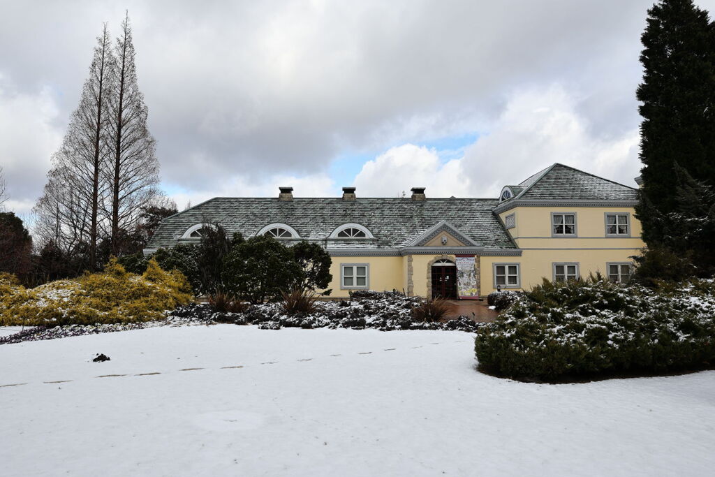 珍しく積もった雪景色＃５