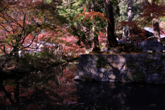 晩秋の紅葉撮影・松平郷#1