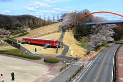 春爛漫の鞍ヶ池公園＃１０