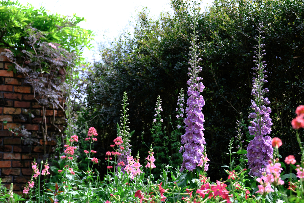 春うらら・花たちが咲き揃う＃５