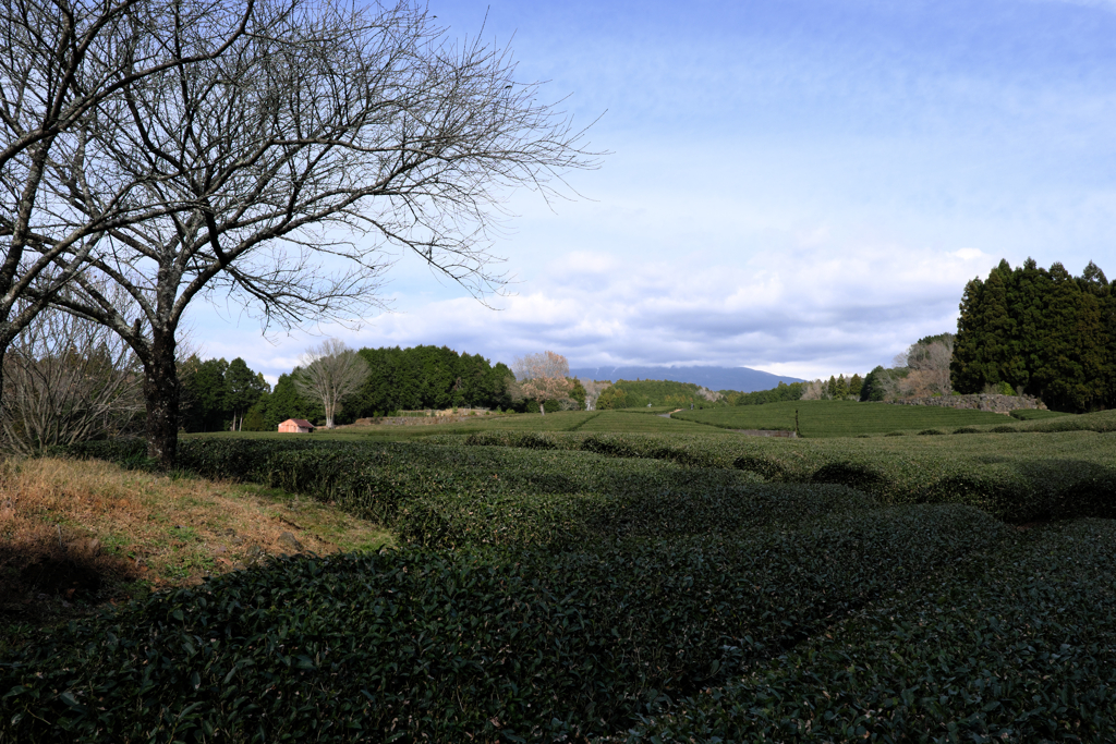 大渕笹場と富士川Ｓ.Ａ　＃３