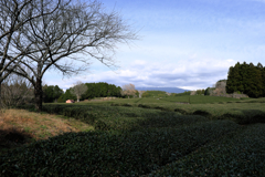 大渕笹場と富士川S.A #3