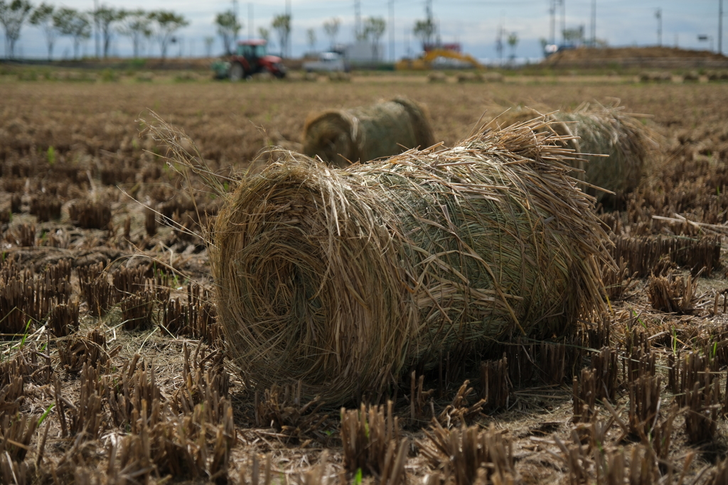 安城市で見掛けたわらロールのある情景＃１０