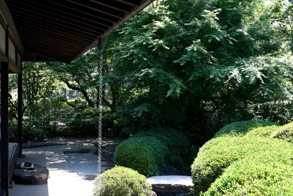 新緑が眩しい丈山苑＃６