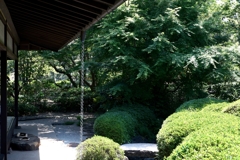 新緑が眩しい丈山苑＃６