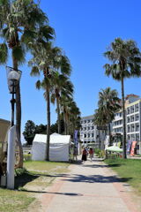 夏の吉良ワイキキビーチ#9