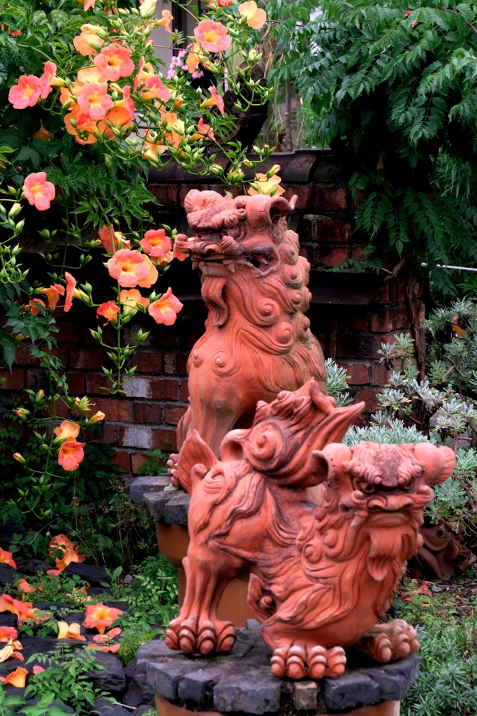 あおいパークで出会った花たち＃８