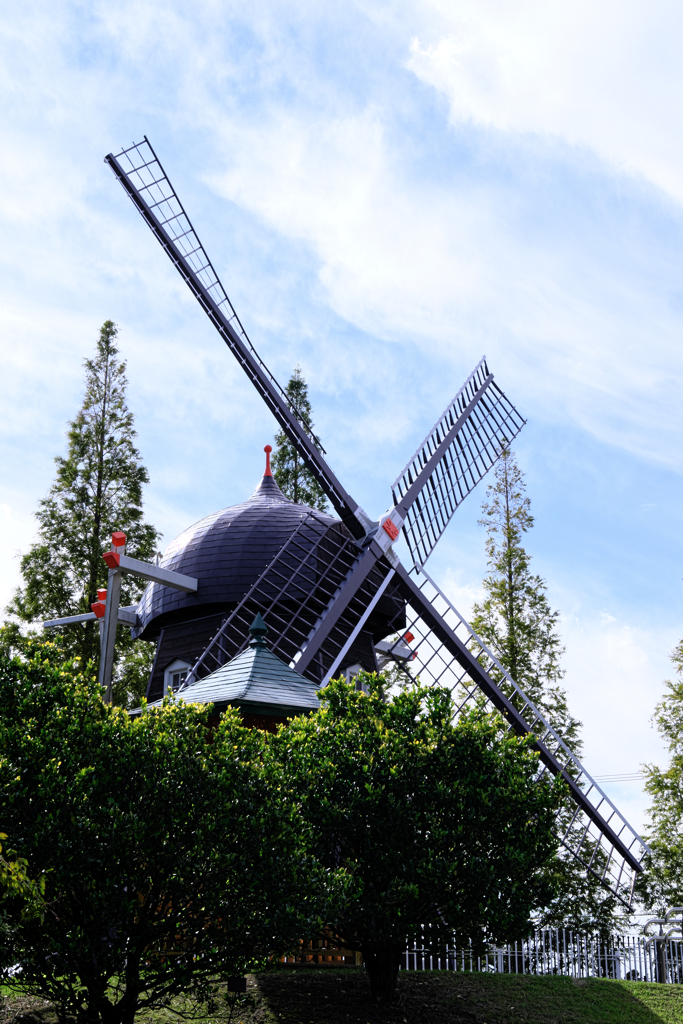 秋本番デンパークとハロウィン＃１