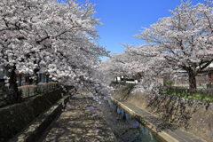 奥の細道むすびの地・大垣＃３