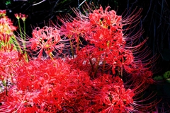 久し振りにJERAパークへ#6