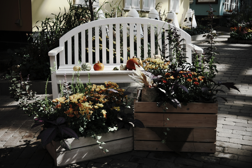 秋本番デンパークとハロウィン＃４