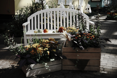 秋本番デンパークとハロウィン＃４