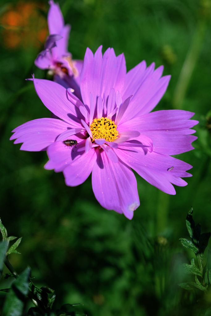 久し振りにJERAパークへ＃２