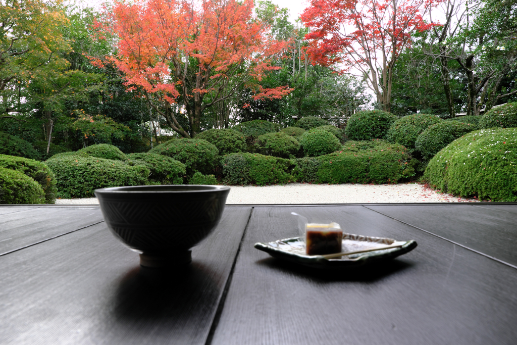 秋深し丈山苑も秋本番＃４