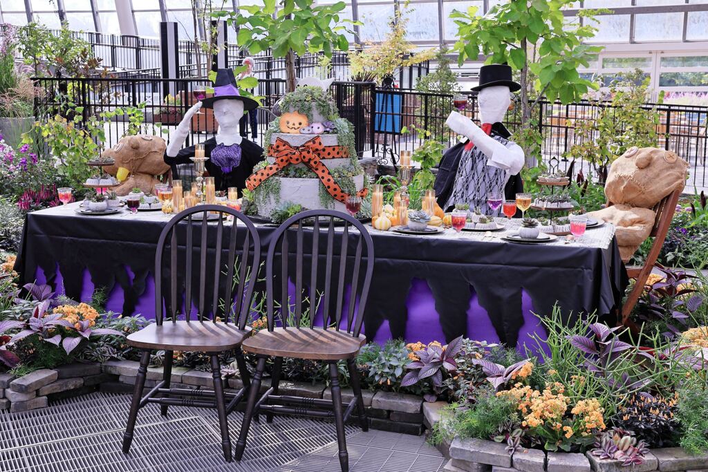 ハッピーハロウィン＃６