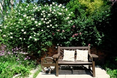 ガーデンミュージアム花遊庭#2