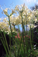 久し振りにJERAパークへ#7