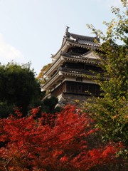 西尾歴史公園の紅葉#7