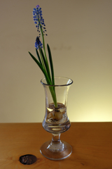 コーヒーショップでテーブルフォト＃１