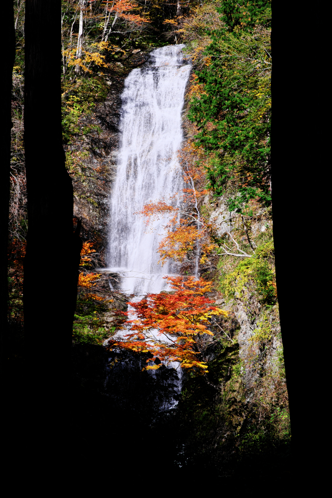 木曽町唐沢の滝・紅葉撮影＃１