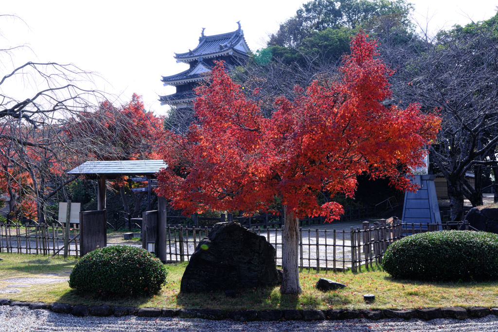 西尾歴史公園と尚古荘の紅葉＃１