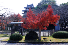 西尾歴史公園と尚古荘の紅葉＃１